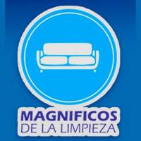 Magnificos de la Limpieza