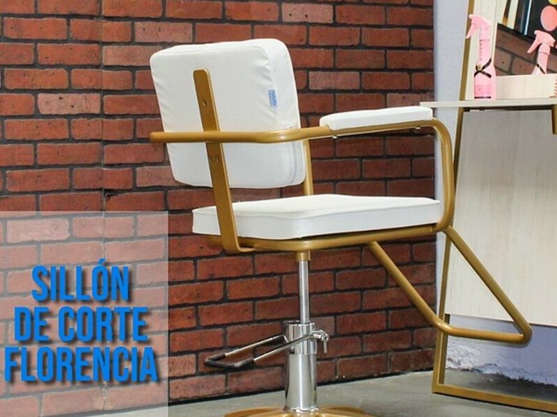 Silla de Peluquería Blanca Minimalista Mexico