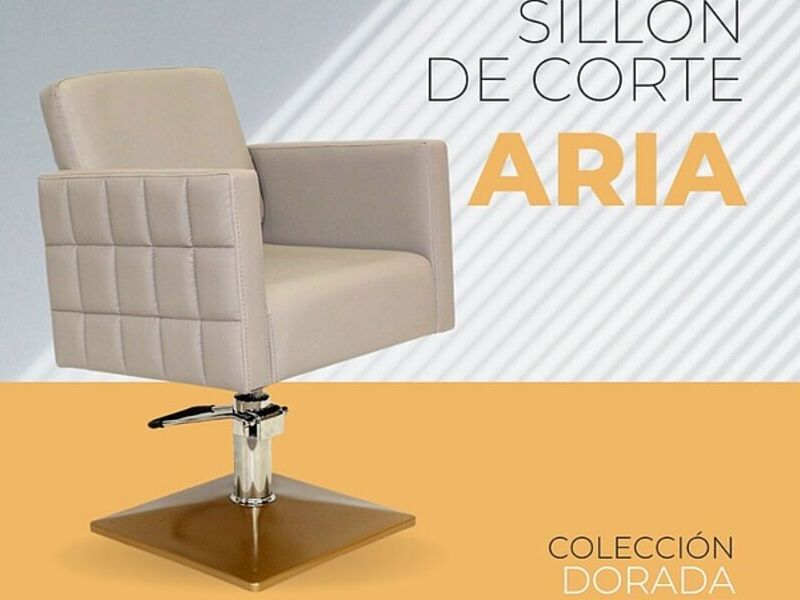 Silla de Peluquería Blanca Mexico