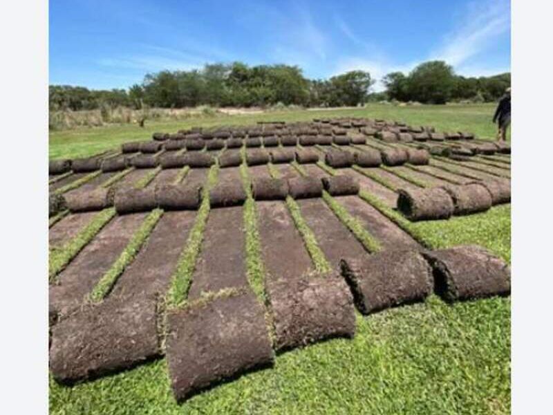 PASTO EN ROLLO DURABLE MÉXICO