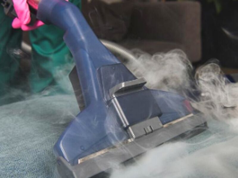 Lavado a vapor Guasave 