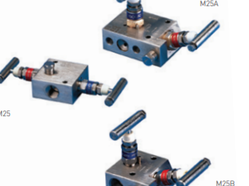 MANIFOLDS CDMX 