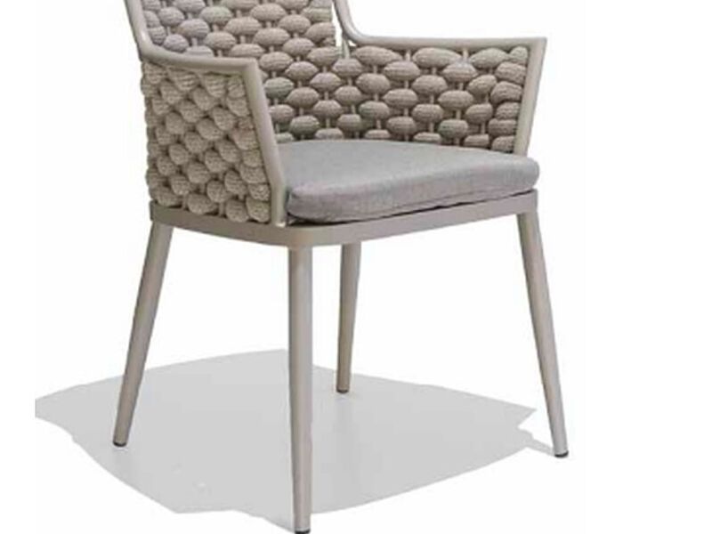 Silla León México 