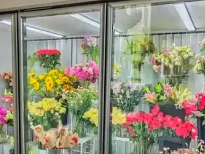 Camara refrigeracion floricola Mexico
