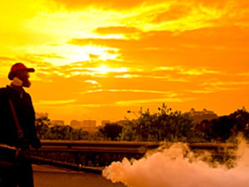 Fumigación