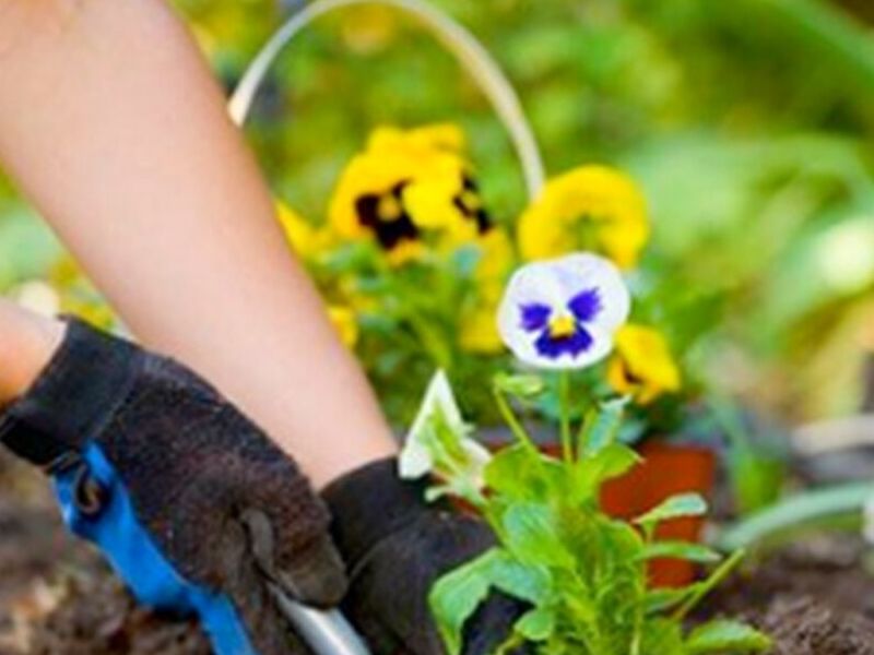Mantenimiento de jardineria