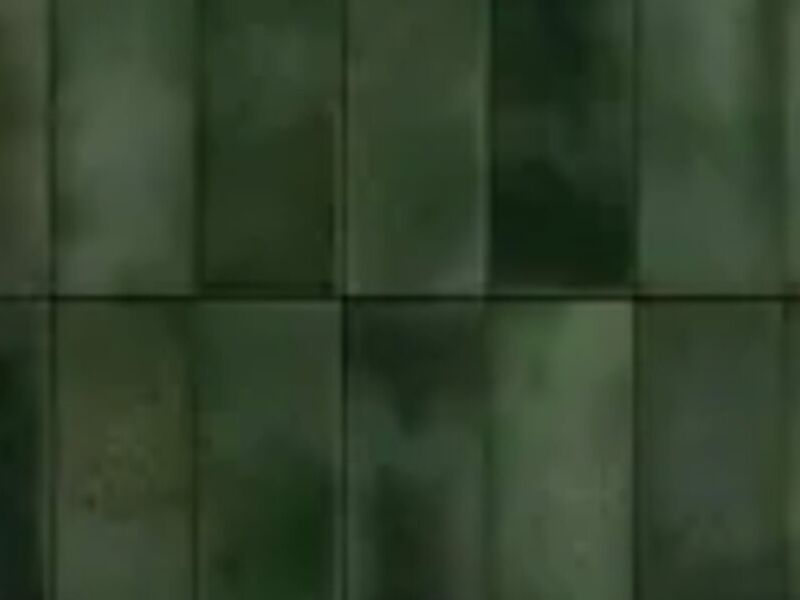 Amazonia México