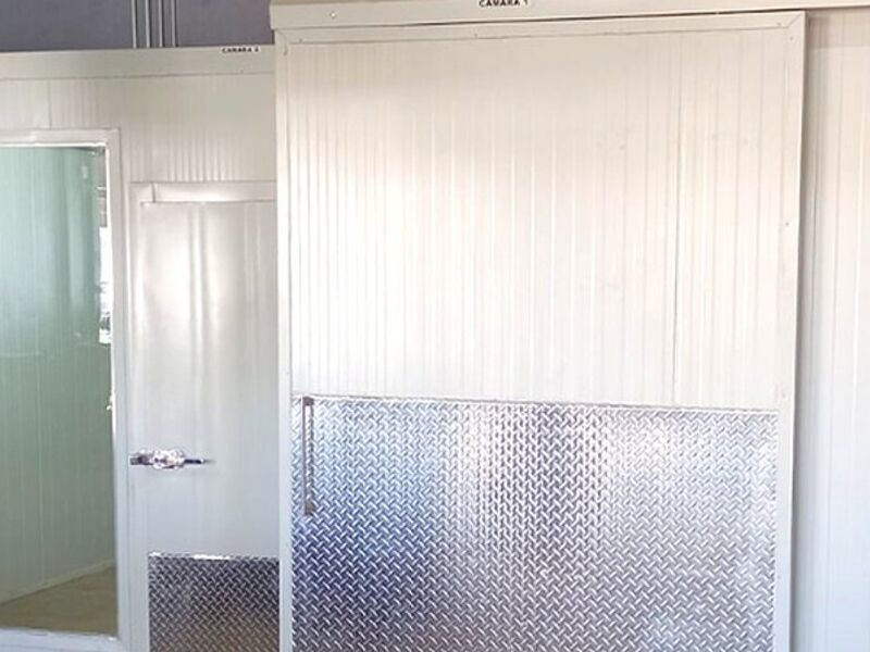 Camara congelacion alimentos Mexico