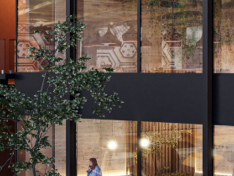 Plaza Elys Comercial México