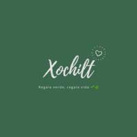 Xochitl Muebles