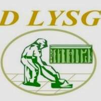 DLYSG SA de CV