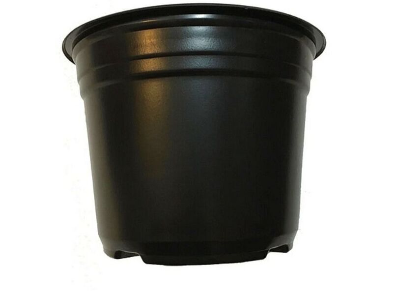 Maceta Termo Negra 8" Monterrey