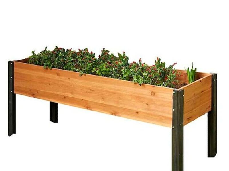 Cajón cultivo  Mexico Monterrey