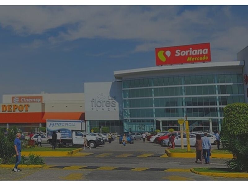 FLORES PLAZA MEXICO