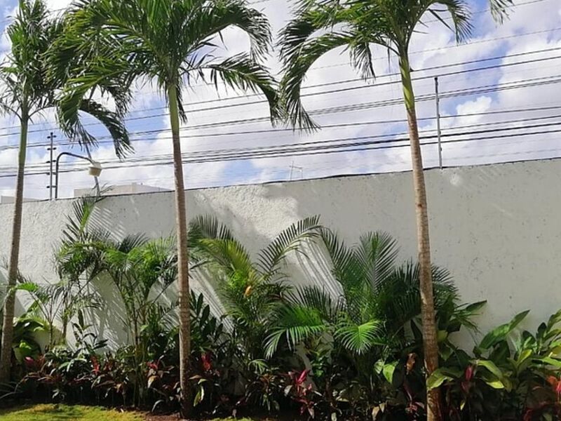 Paisajismo Jalisco 