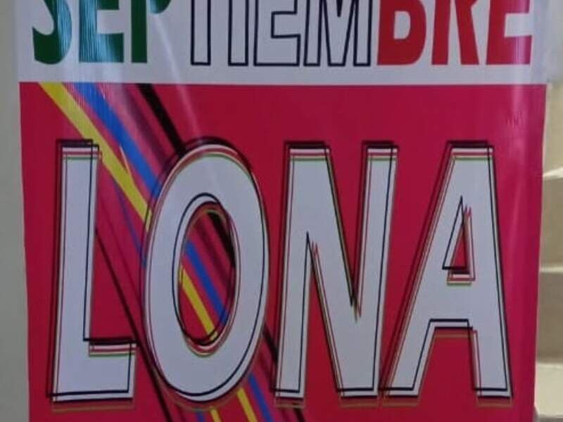 Vinil Brillante México