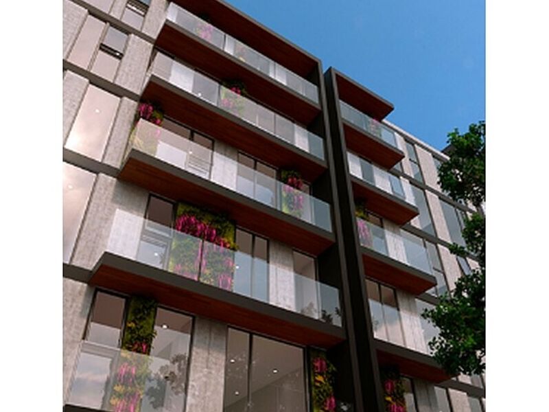 Proyecto 005 México 