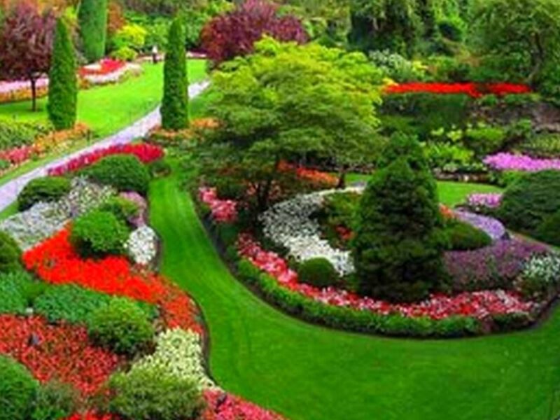 Jardinería México