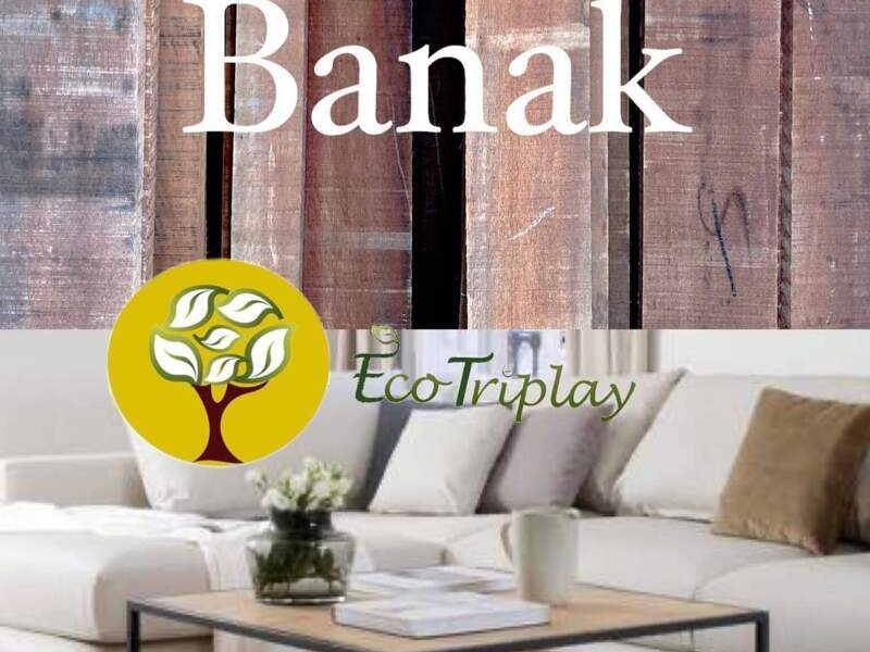 Banak México