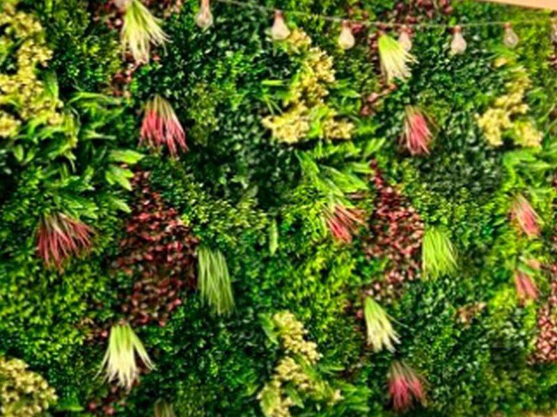 Jardines Verticales Chihuhua