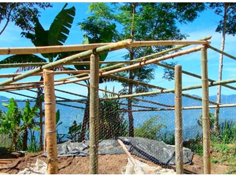 Diseño de Viveros Morelos 