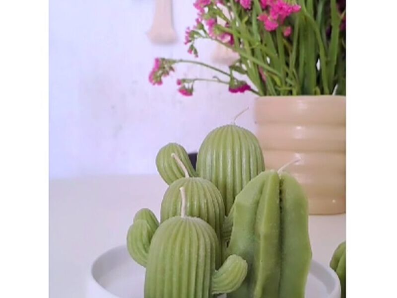 Vela Cactus México