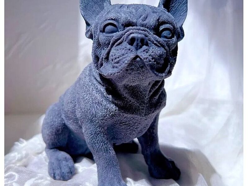 Vela BullDog México
