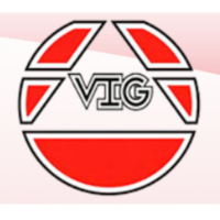 VIG MÉXICO