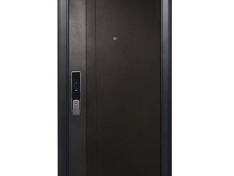 Puerta Armada Anti-intrusión  México