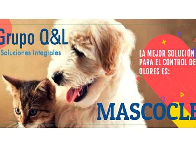 Desinfectante para mascotas -México 
