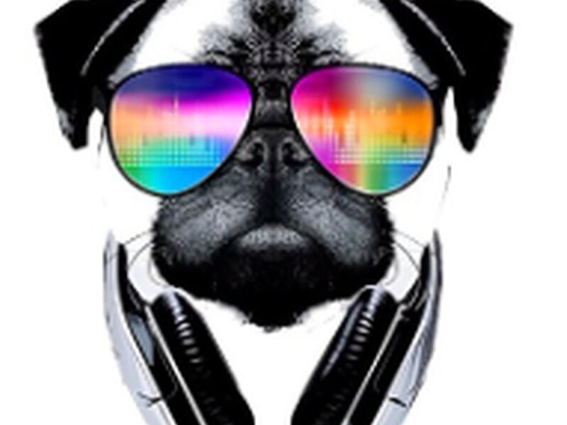 Sticker Perro Facha México