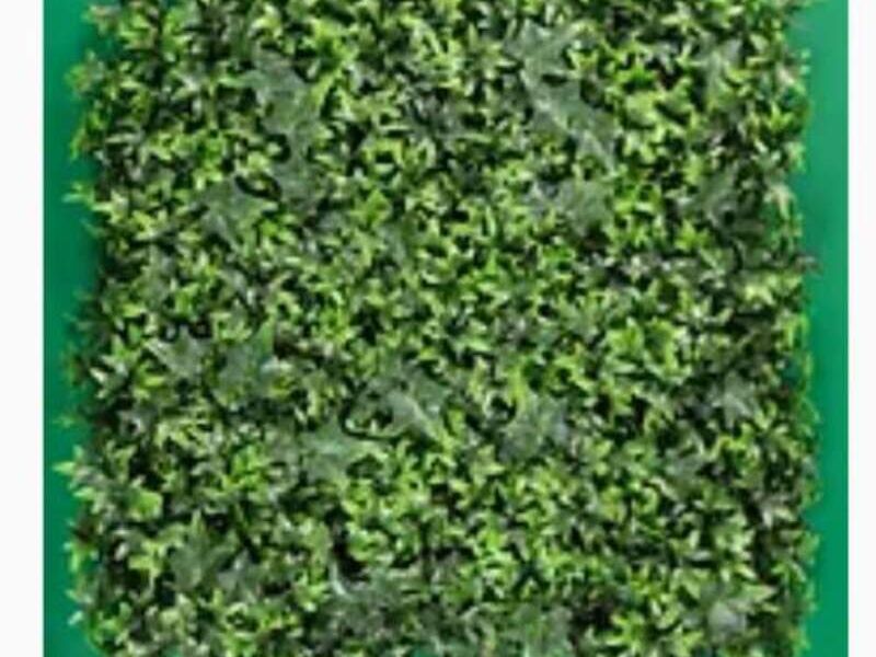 MURO VERDE RESISTENTE MÉXICO