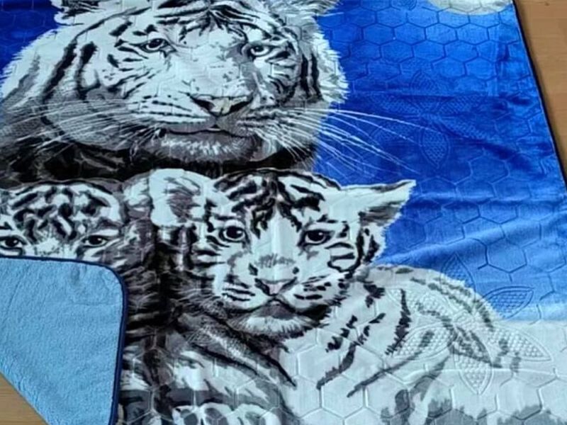Cobija de Tigre Blanco México