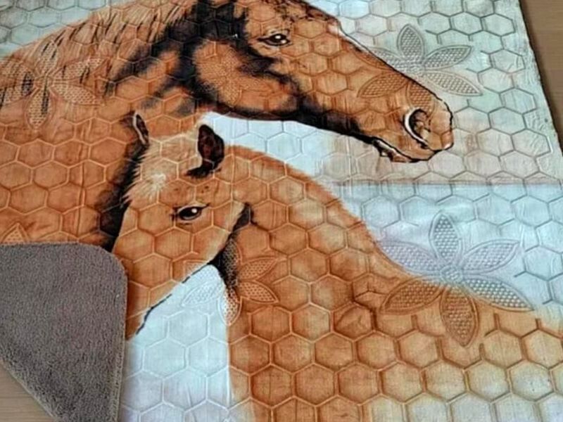 Cobija de Caballos México