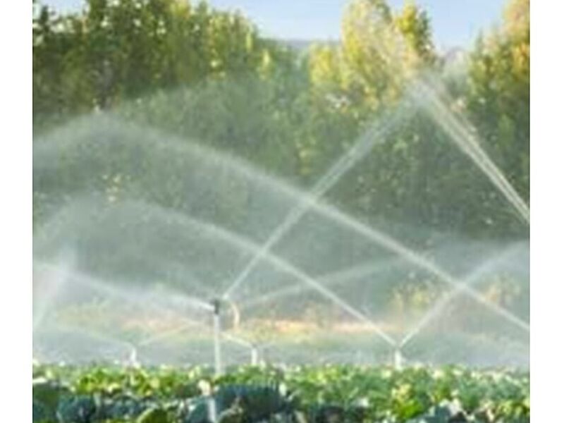 Agrícola Cuernavaca