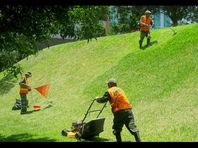 Mantenimiento Áreas verdes 