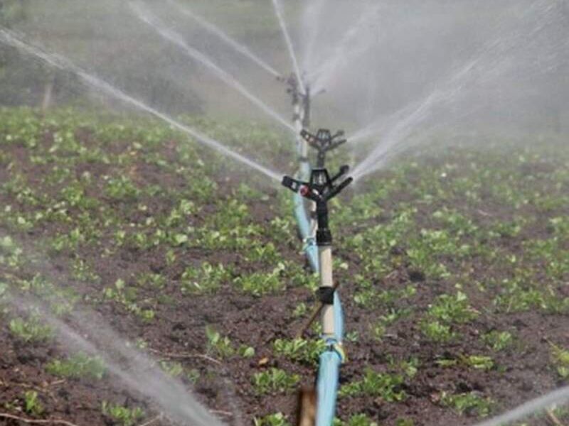 Mantenimiento de sistema de riego Cuernavaca