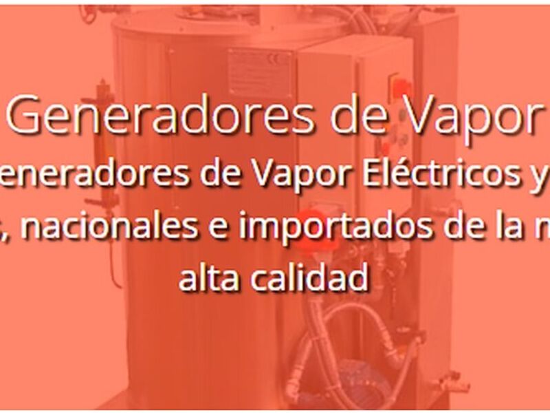 Generados vapor eléctricos México 