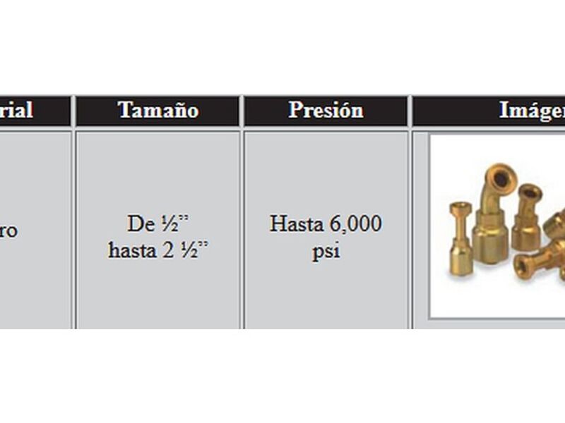  Conexiones de Brida CDMX