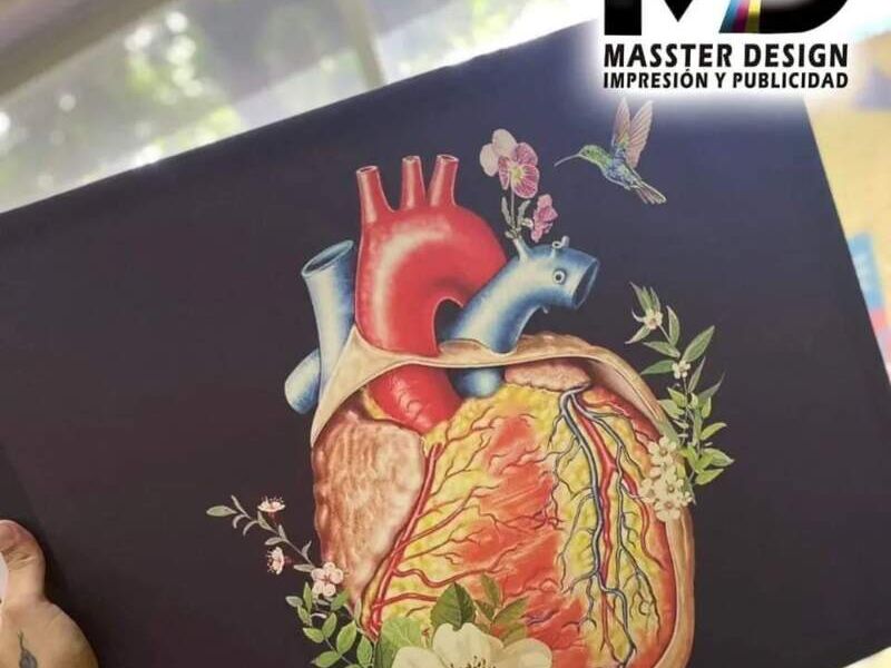 Vinil Corazón México