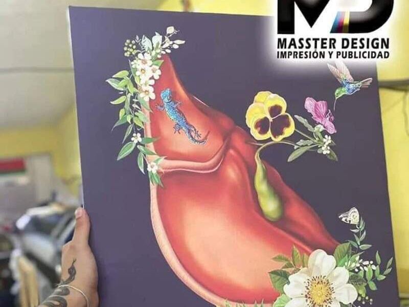 Corazón Vinil México