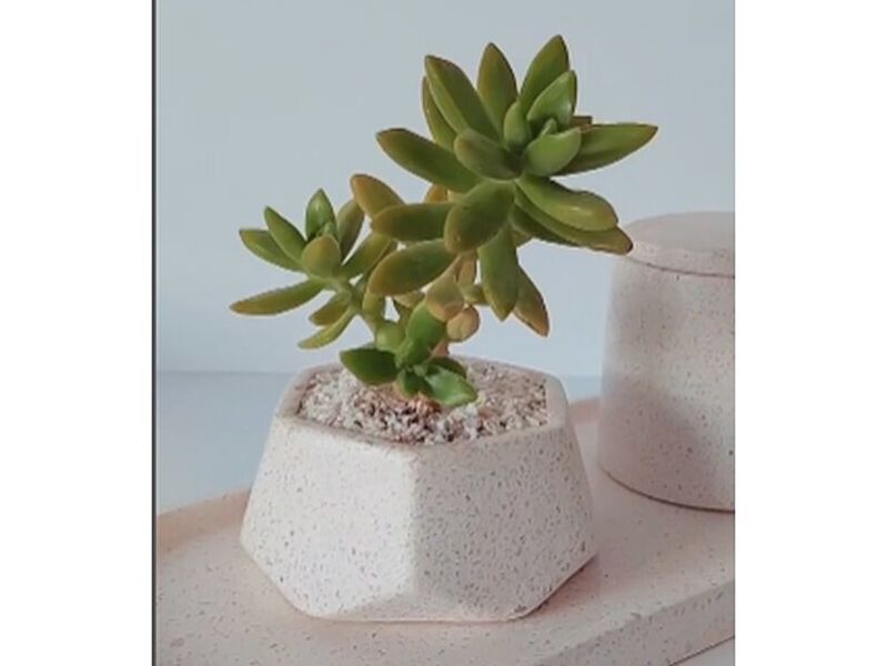 Maceta Terrazo Blanco México