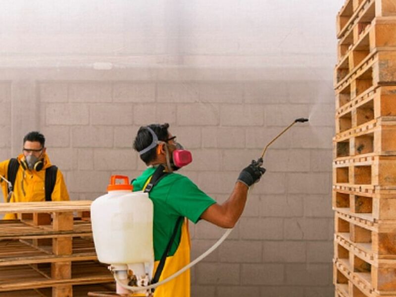 Tarimas uso industrial reforzadas Mexico