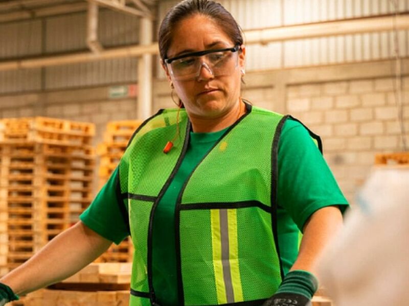 Tarimas obras civiles Mexico