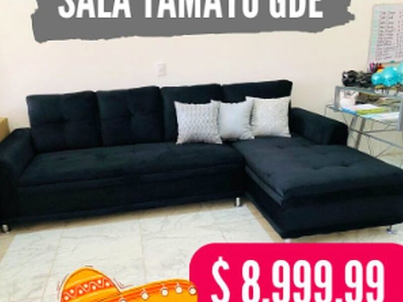 Sla tamayo gde Mexico