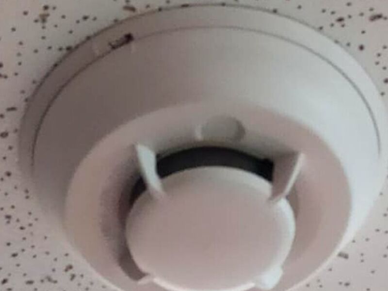 Detector Humo México