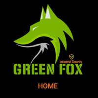 Green Fox