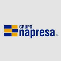 Grupo Napresa Patria