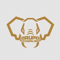 grupohidalgo