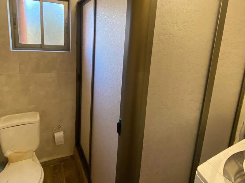  Shower Door